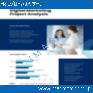 市場と産業調査レポートのイメージ